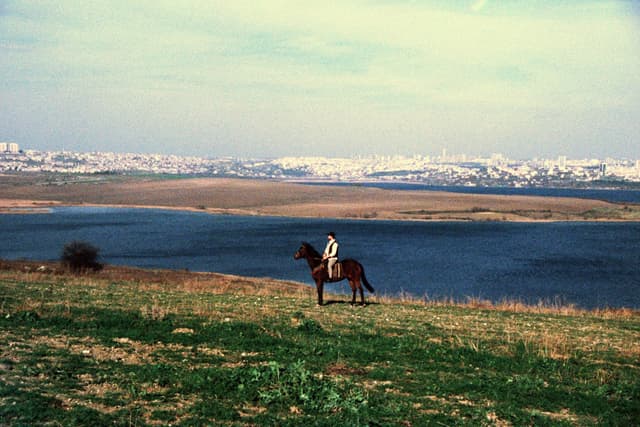 'Magie des Chevaux'