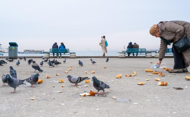 İstanbul'da bir gün