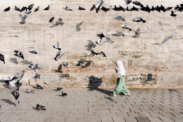 Kuşlar ve küçük kız