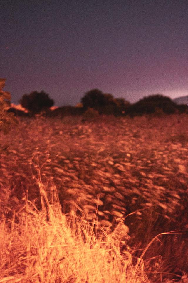 Gecenin Dörtte Biri